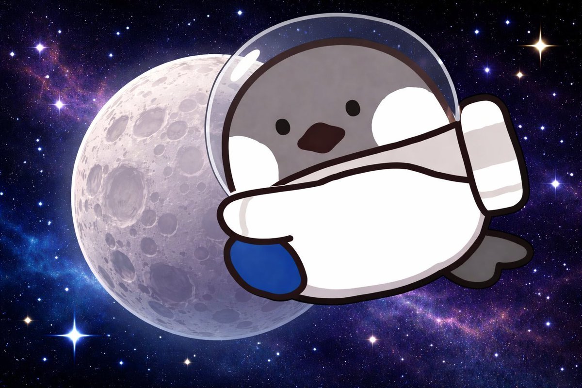 Spacecoin™ 🛰️ tweet media