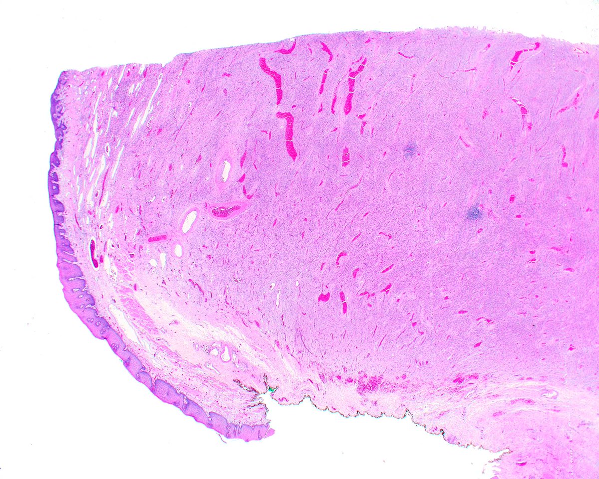 Innovative Science Press tweet media