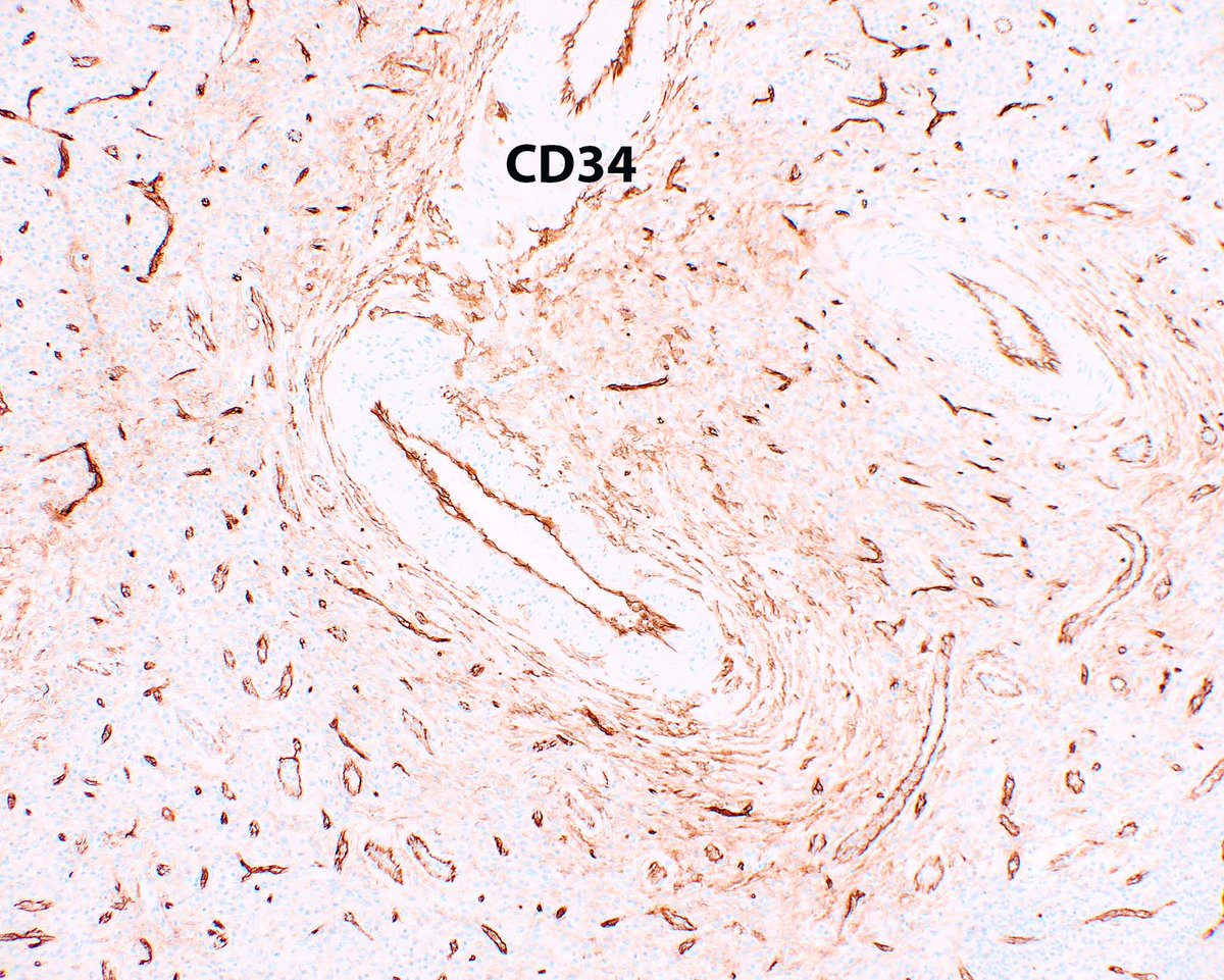 Innovative Science Press tweet media