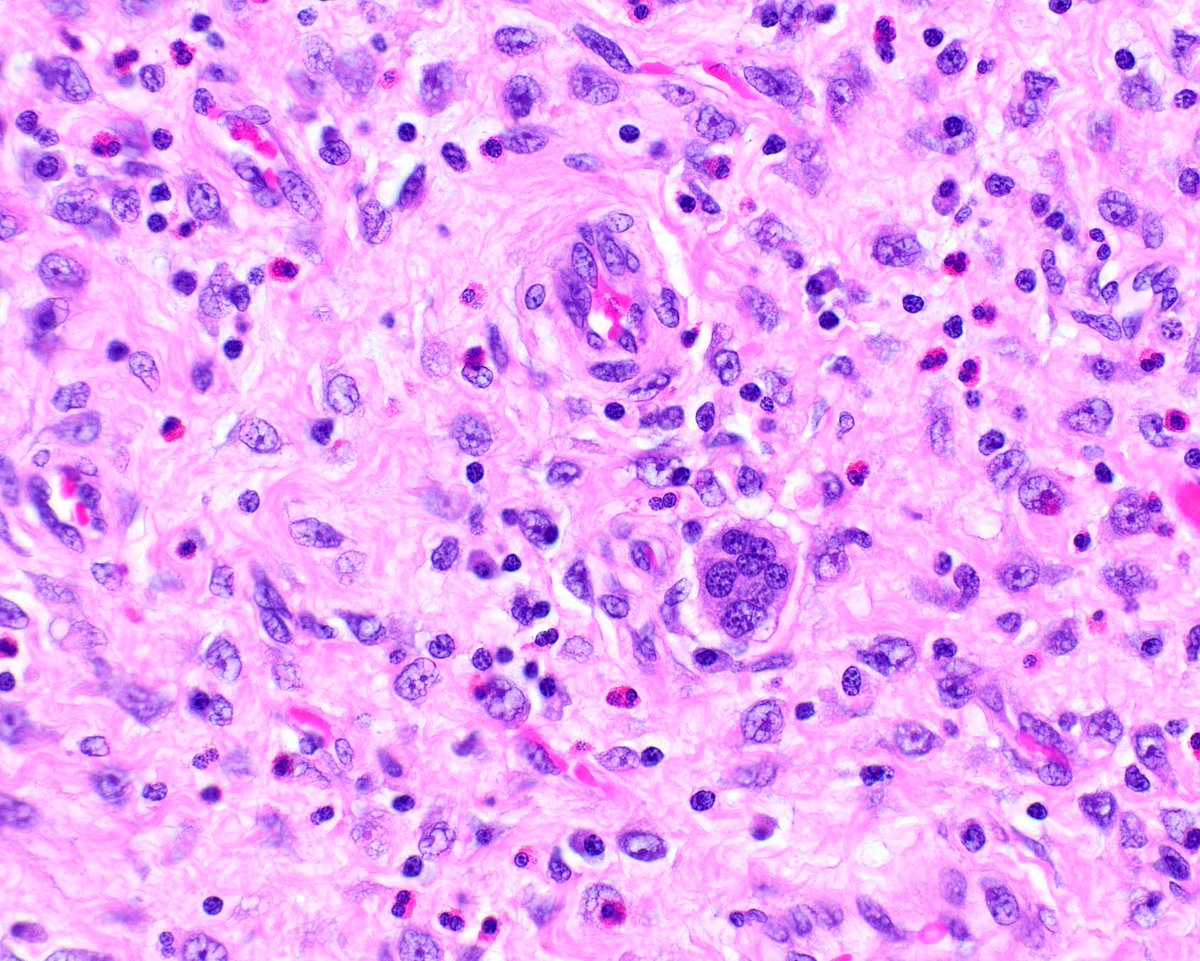 Innovative Science Press tweet media