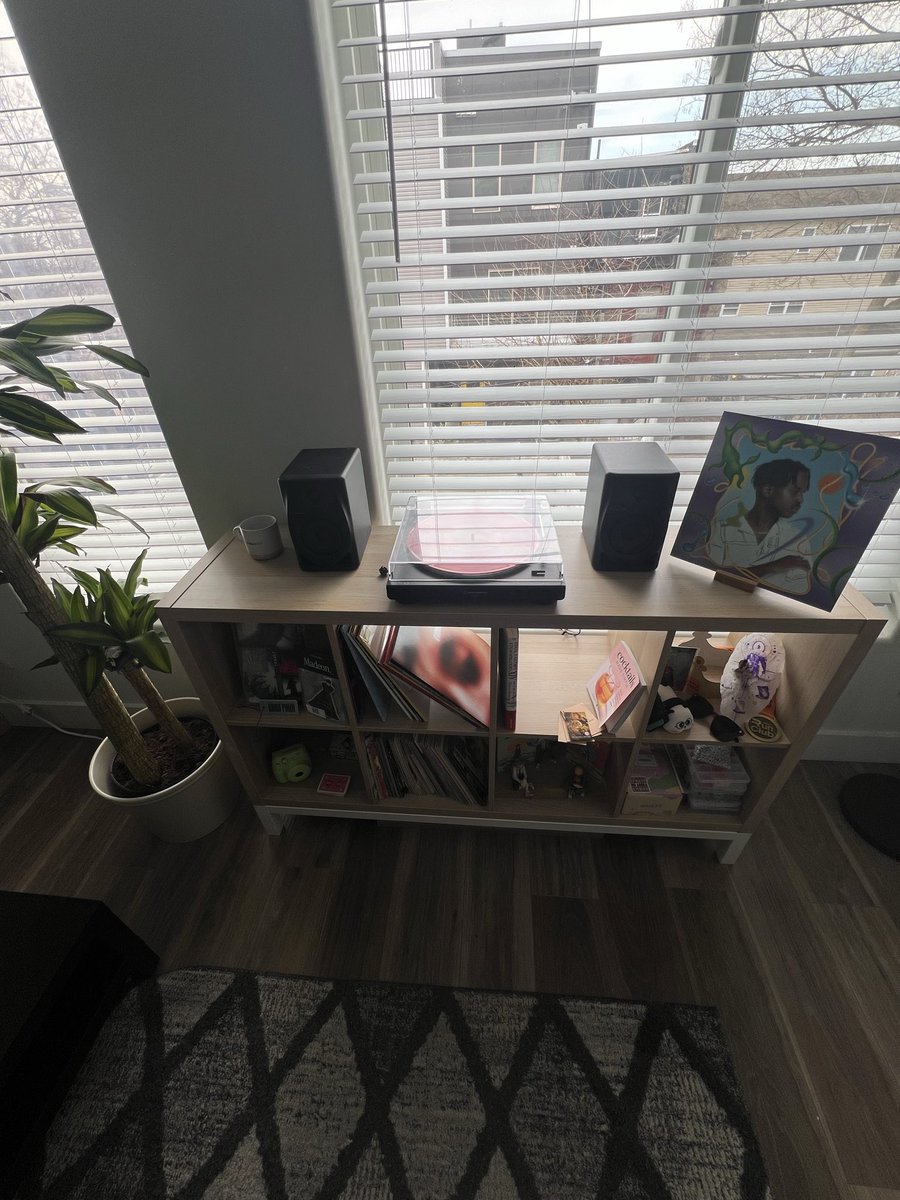 NoobThere's tweet photo. Instructions unclear: I’ve been pulling tree for the last hour and @saluteAUT hasn’t shown up in my house yet for the afters (it’s 12:13pm) https://t.co/yFDqR7DxRx