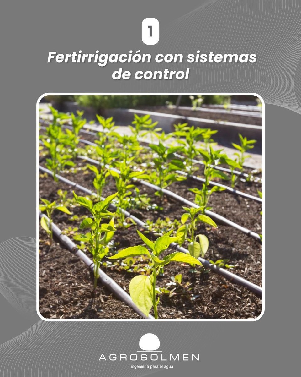 Agrosolmen SL tweet media