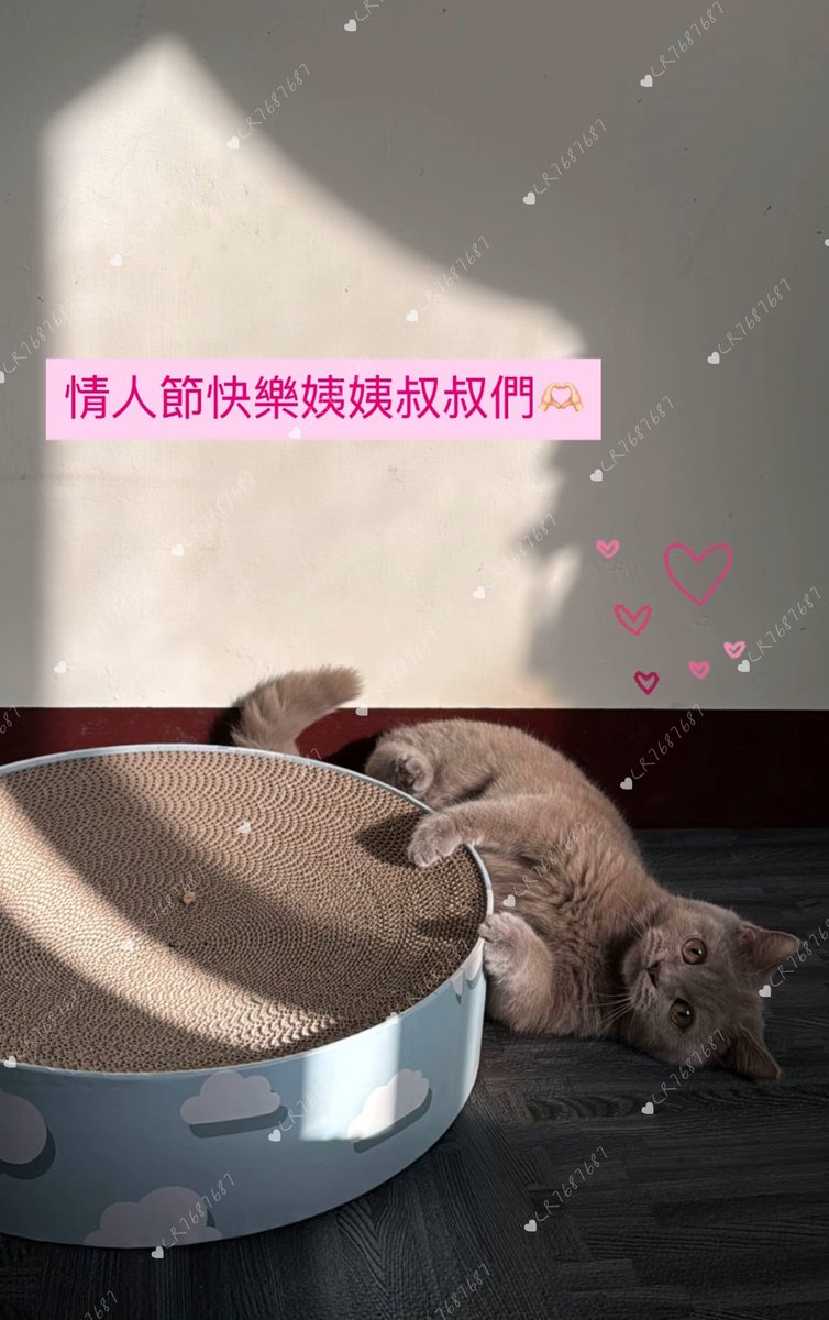 🫰🏻 https://t.co/B191gaGIX8