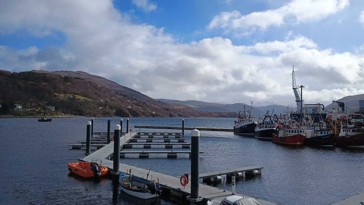 KatharineD tweet media