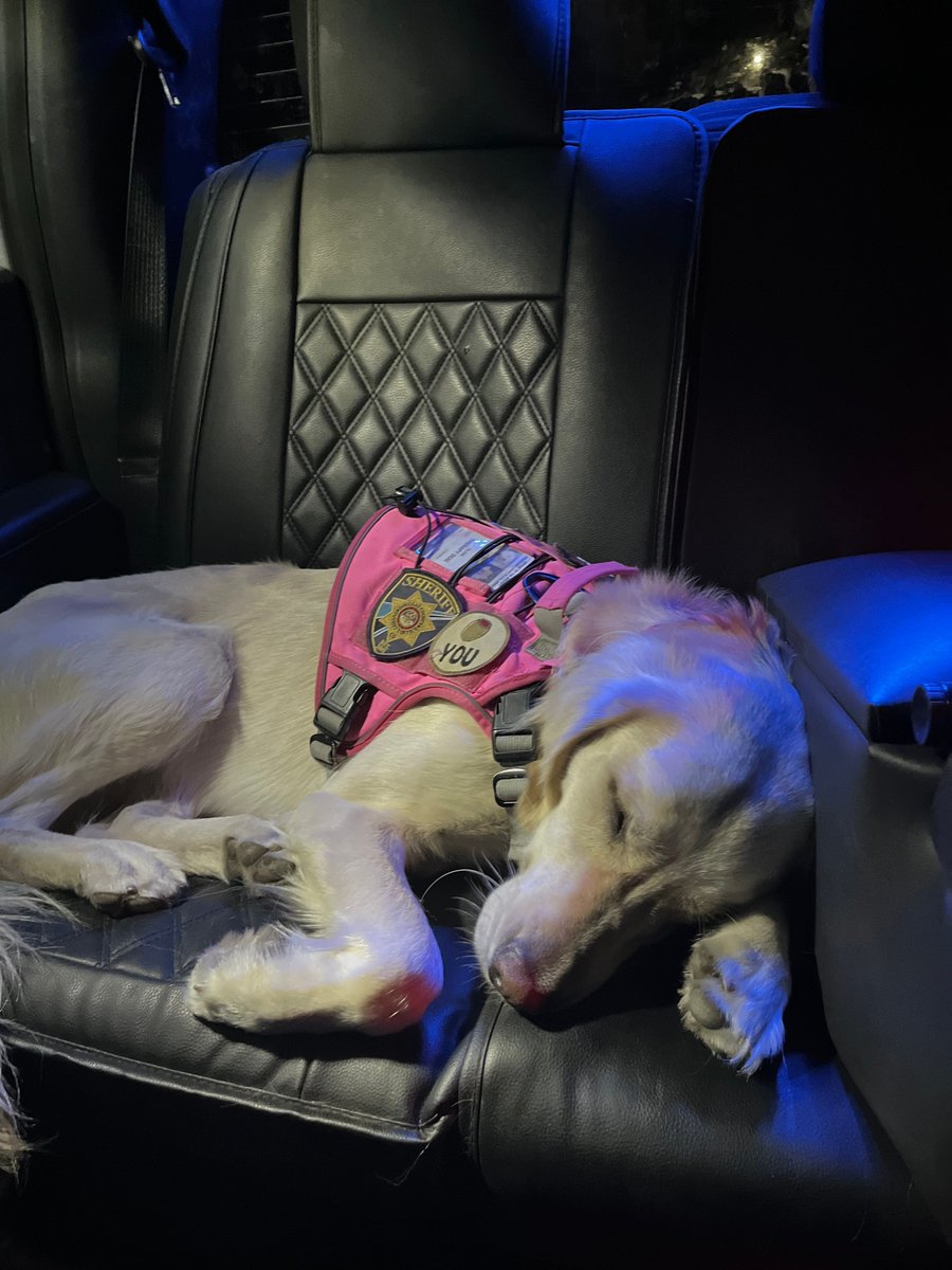 DC Sheriff tweet media