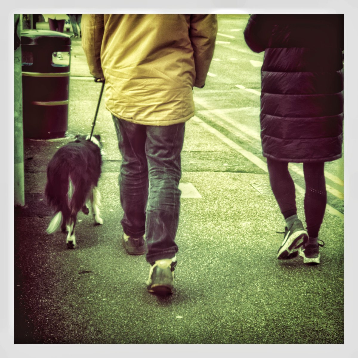 Dale Rockell tweet media