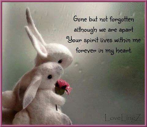 CloudRiderz tweet media