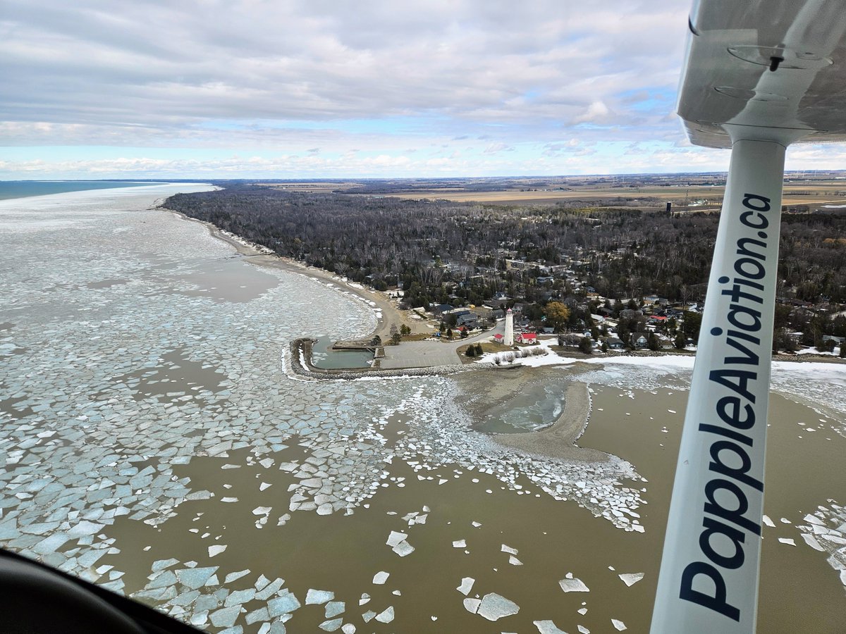 Papple Aviation tweet media