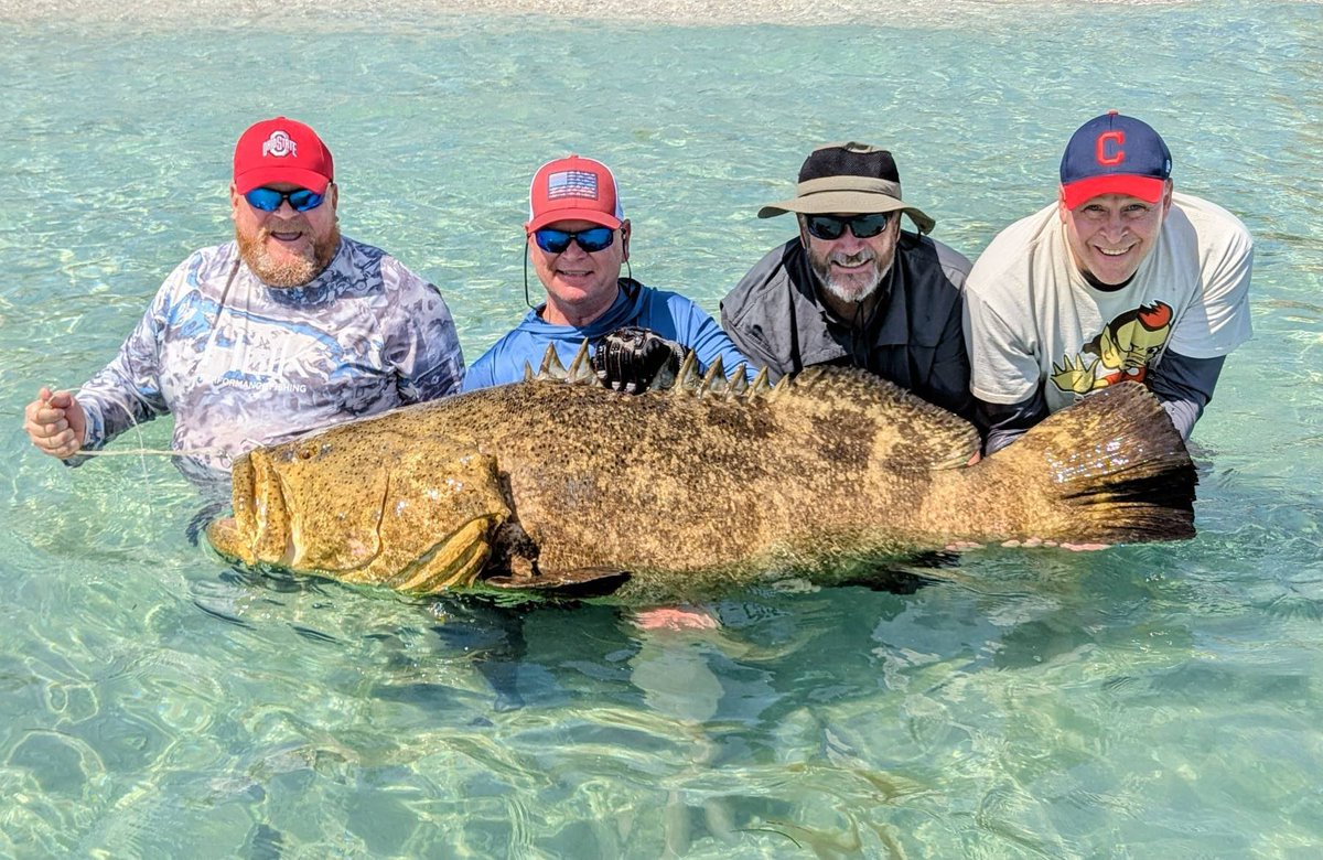 ĊṛÿṗẗöḄïḷḷÿ tweet media