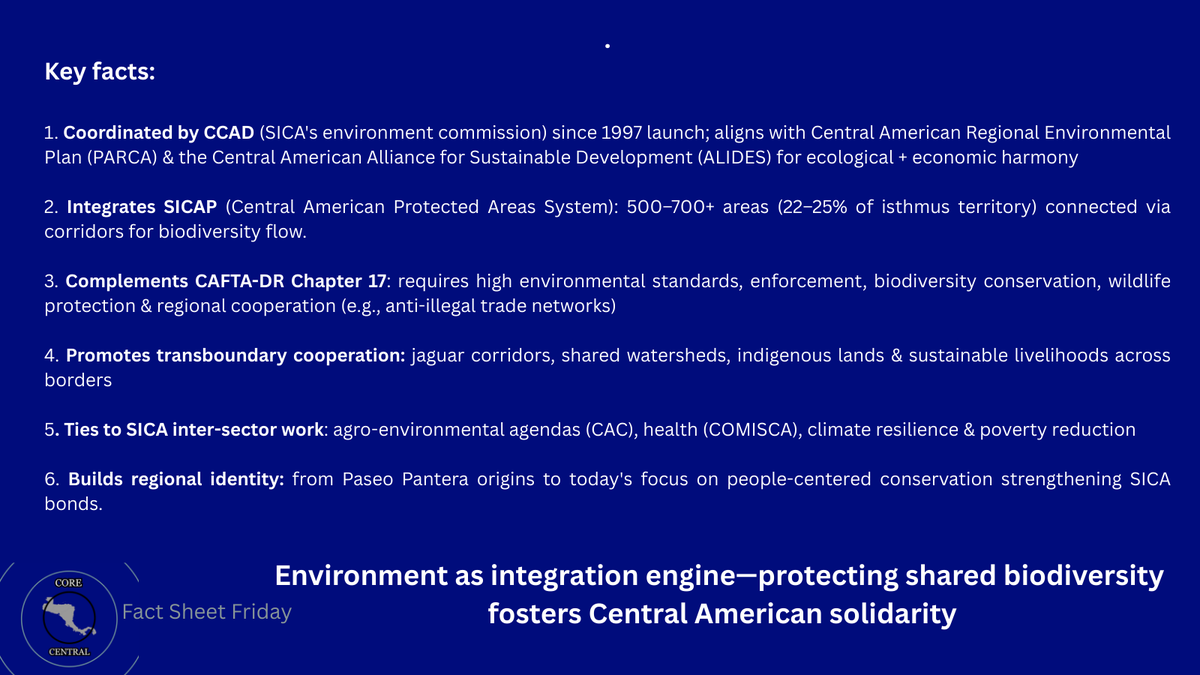 corecentralam's tweet photo. 1. Coordinated by CCAD (SICA's environment commission) since 1997 launch; aligns with Central American Regional Environmental Plan (PARCA)  & the Central American Alliance for Sustainable Development (ALIDES) for ecological + economic harmony

2.Integrates SICAP (Central American Protected Areas System): 500–700+ areas (22–25% of isthmus territory) connected via corridors for biodiversity flow.

3.Complements CAFTA-DR Chapter 17: requires high environmental standards, enforcement, biodiversity conservation, wildlife protection & regional cooperation (e.g., anti-illegal trade networks)

4.Promotes transboundary cooperation: jaguar corridors, shared watersheds, indigenous lands & sustainable livelihoods across borders

5.Ties to SICA inter-sector work: agro-environmental agendas (CAC), health (COMISCA), climate resilience & poverty reduction

6.Builds regional identity: from Paseo Pantera origins to today's focus on people-centered conservation strengthening SICA bonds.