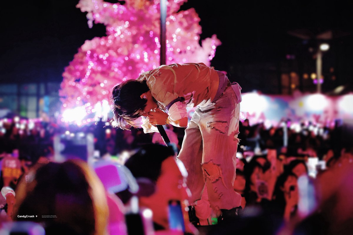 𝘾𝙖𝙣𝙙𝙮𝙘𝙧𝙪𝙨𝙝 tweet media