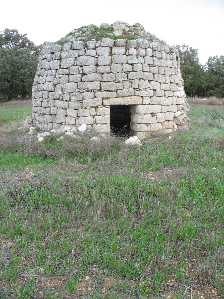 bodega.aulamuzvino tweet media