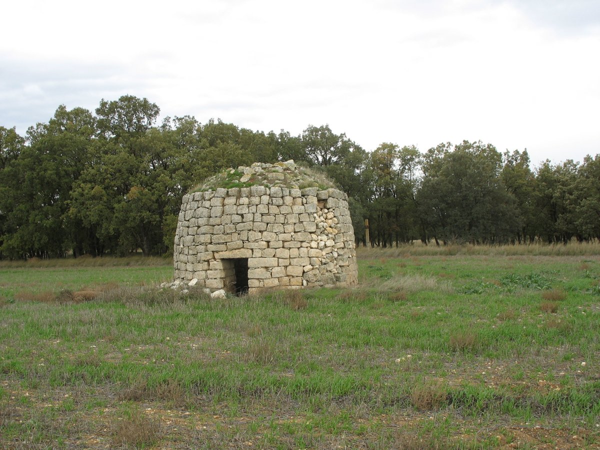 bodega.aulamuzvino tweet media