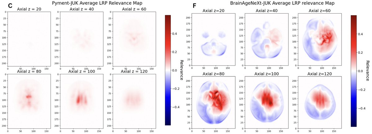 Imaging Neuroscience tweet media