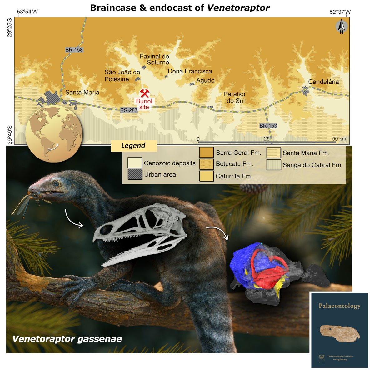 The PalAss tweet media