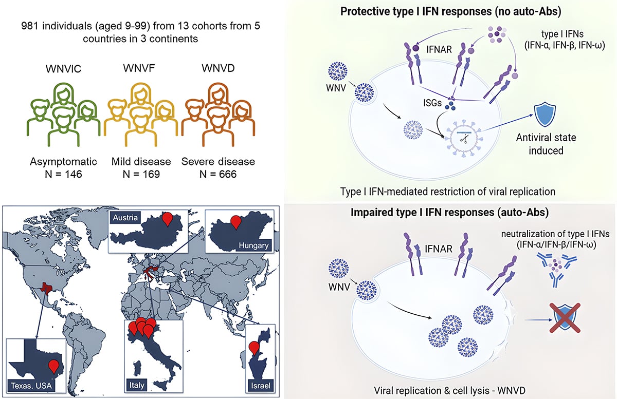 Journal of Human Immunity tweet media