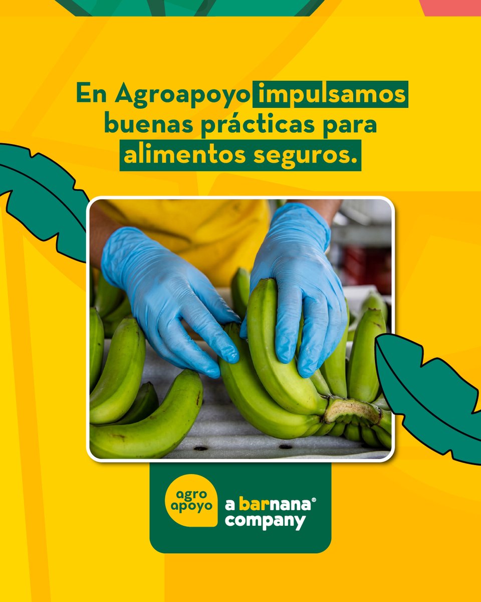 Inocuidad alimentaria = confianza. En Agroapoyo impulsamos hábitos simples: higiene, separar crudo y cocido, y buen control de almacenamiento.
#InocuidadAlimentaria #SeguridadAlimentaria #Agroapoyo