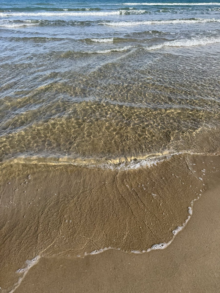 Анастасия tweet media