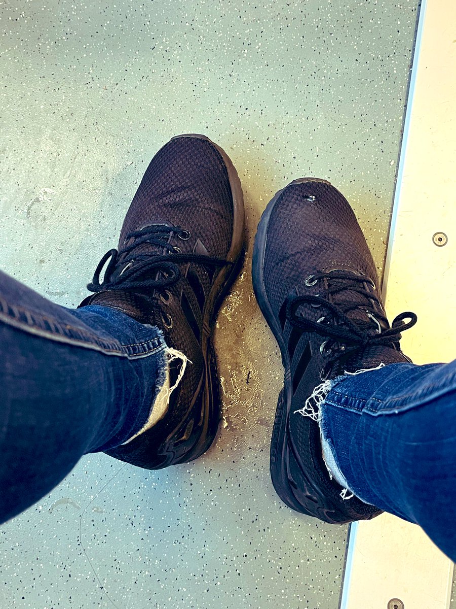 Maria maria tweet media