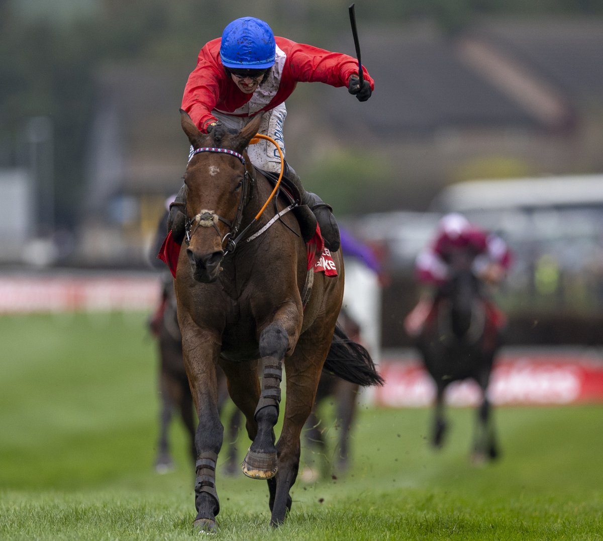 myracingtips tweet picture
