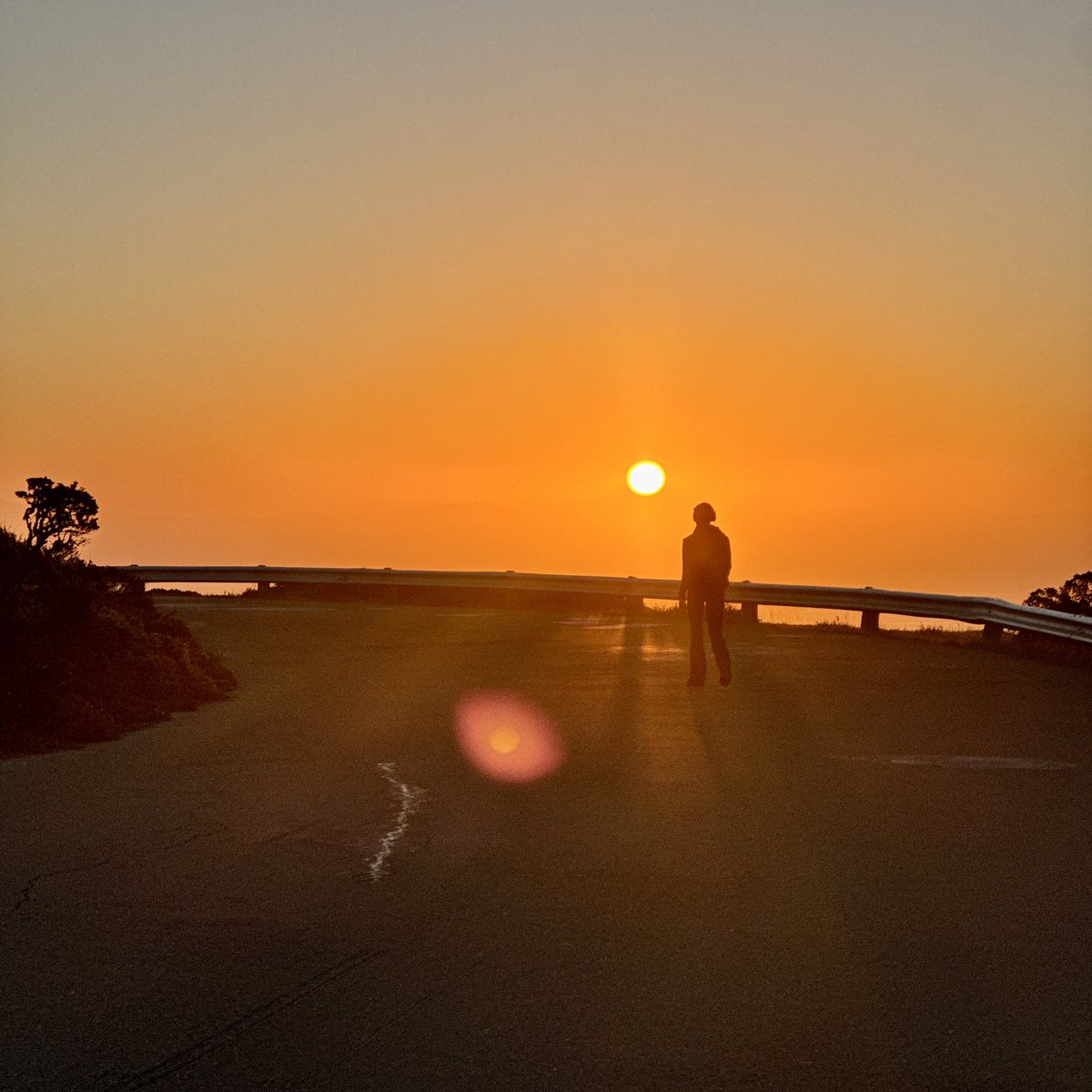 Julius Ritter tweet media