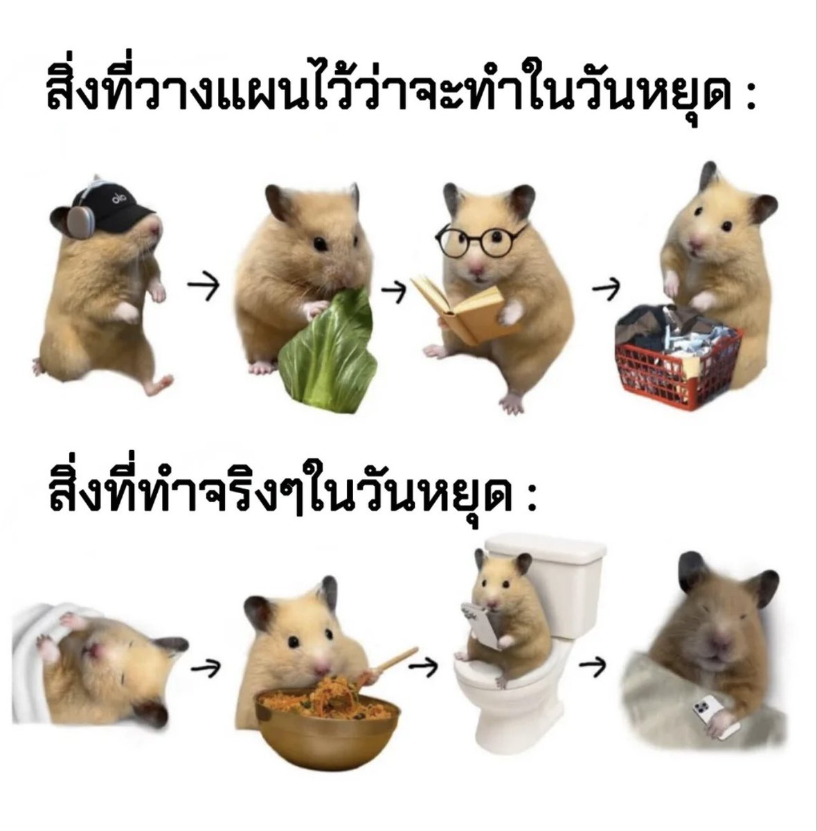 ชีวิตกุ 1,000,000%