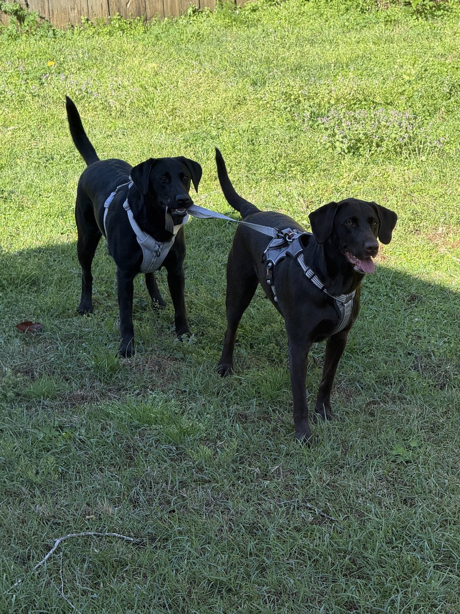 Ronnie Rowell tweet media