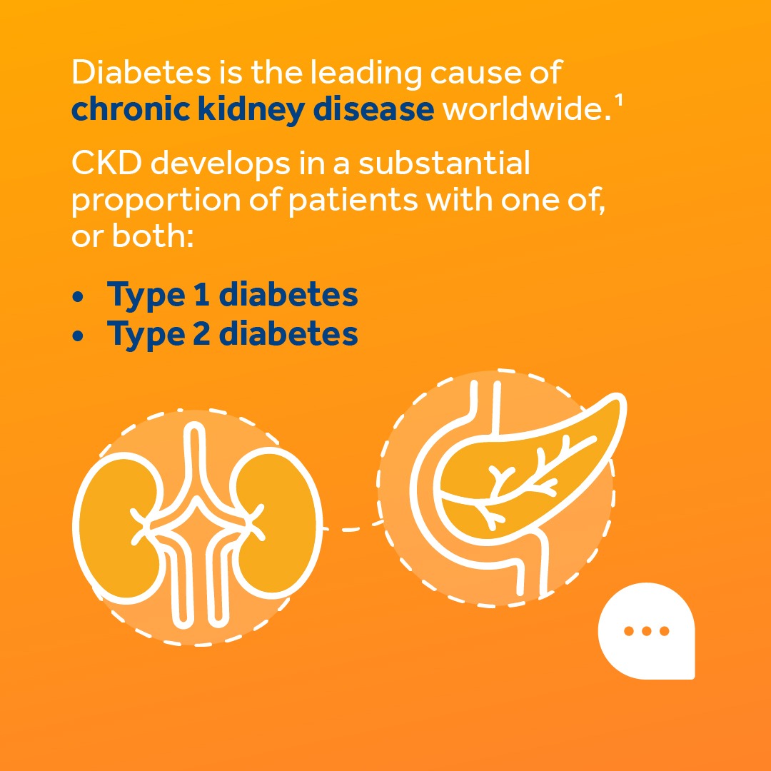 CVKidneyCare's tweet photo. Approximately 30% of patients with type 1 diabetes and 40% with type 2 diabetes may develop chronic kidney disease.

As we work toward #KidneyHealthforAll, how can we ensure kidney health remains a core component of diabetes management for patients across the disease spectrum?