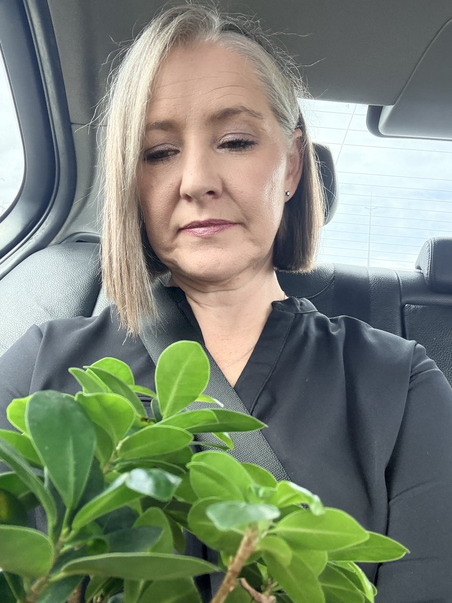 Bronwynne Wiehl tweet media