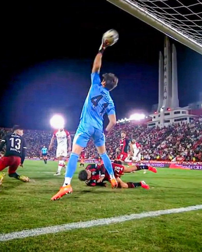 Emi Carp tweet media