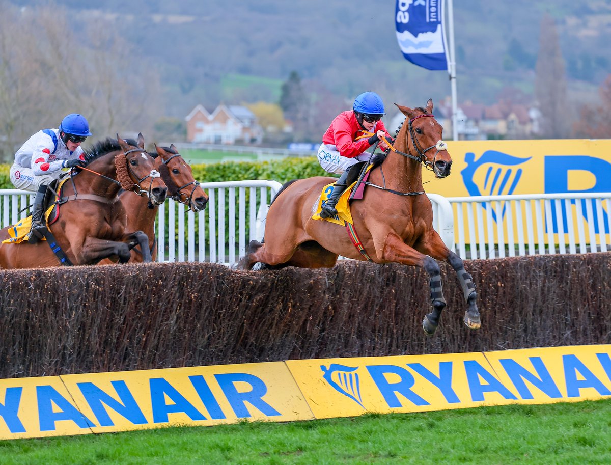 myracingtips's tweet photo. RIP Envoi Allen 💔 https://t.co/xVPjaMl6xj