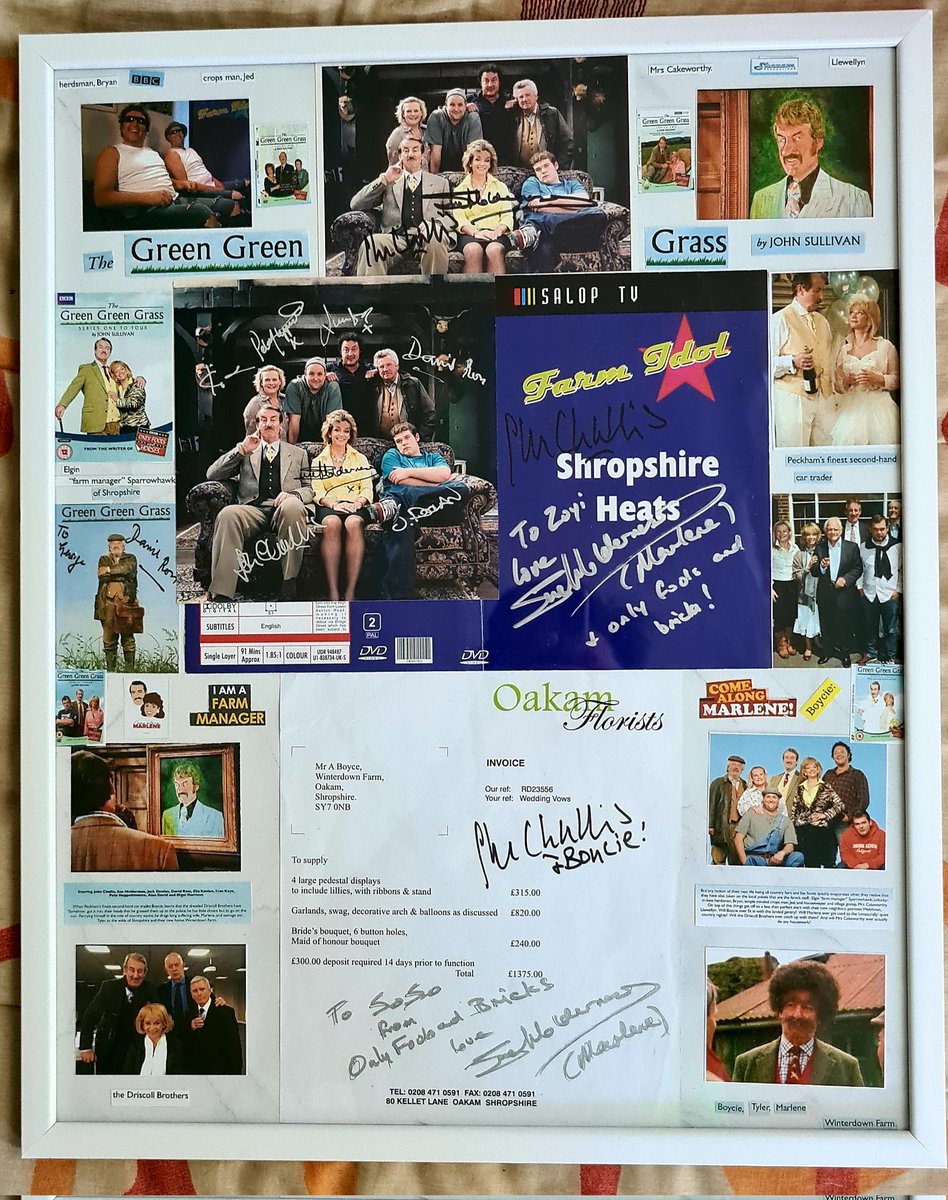 ✧𝗢𝗻𝗹𝘆 𝗙𝗼𝗼𝗹𝘀 𝗔𝗻𝗱 𝗕𝗿𝗶𝗰𝗸𝘀✧ tweet media