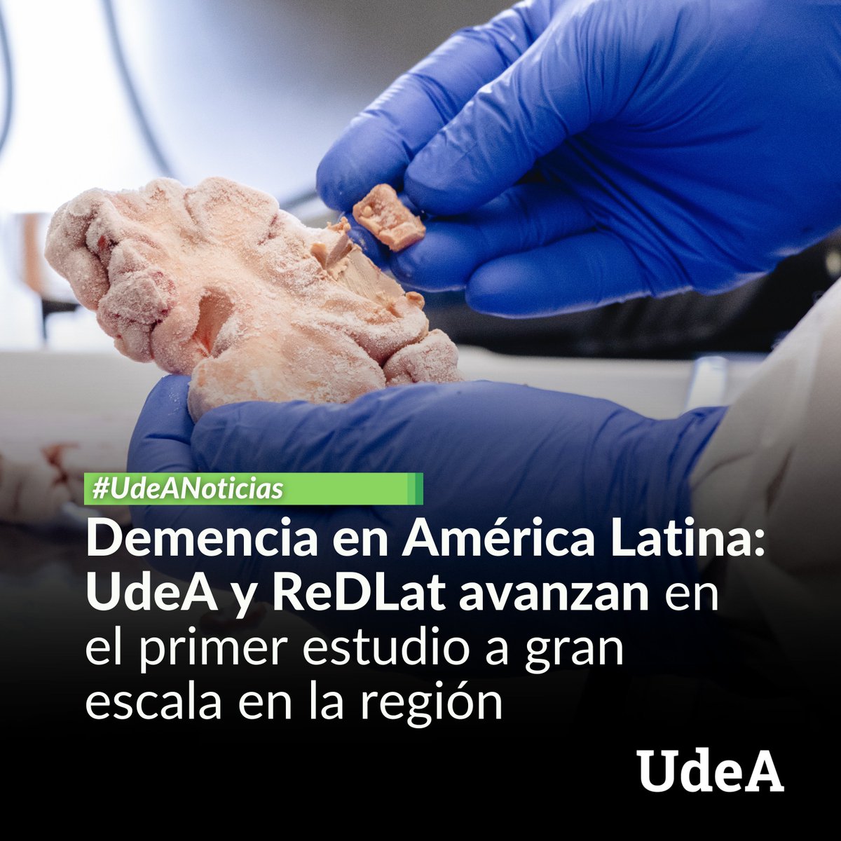 Universidad de Antioquia tweet media