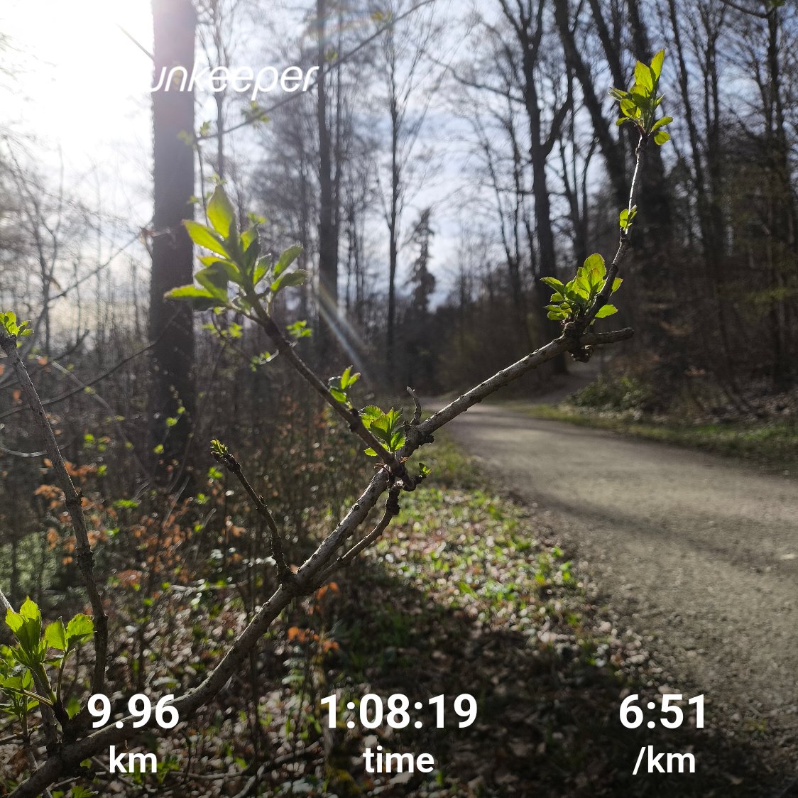 zureich37's tweet photo. running into the weekend 🏃‍➡️.
... the forest is slowly waking up from its winter sleep. 🌱🐦‍⬛
#running #runchat #forestrun #nature #wildlife #KeepRunning https://t.co/6JOOOx0VOQ