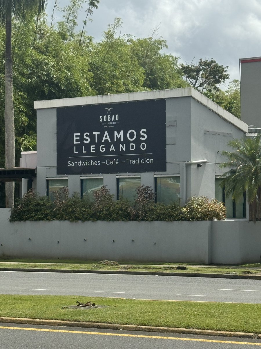 JosecirPR 𝕏 tweet media