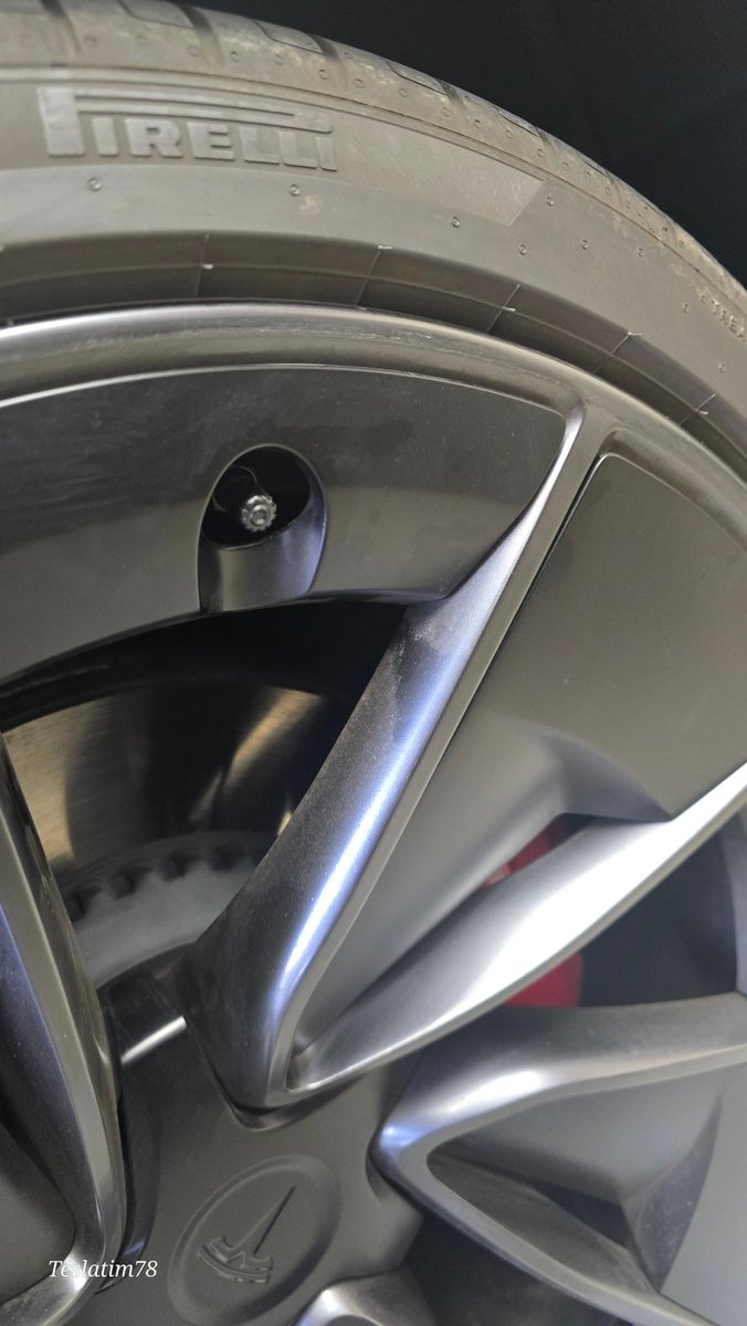 Tim Hoyer🚀 tweet media