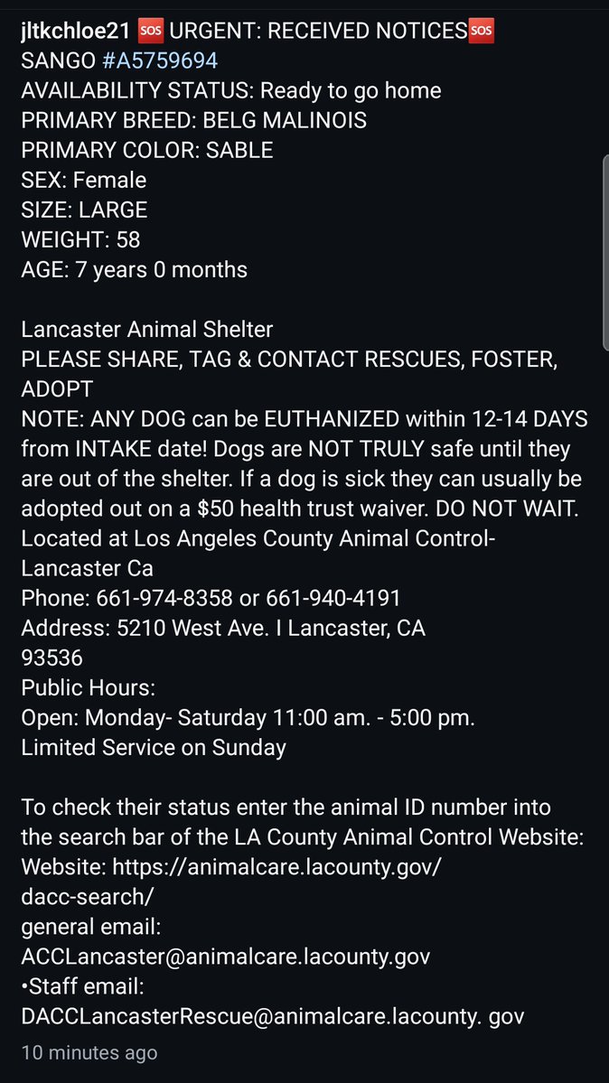 Foster a shelterpet at ZERO COST🐾 tweet media