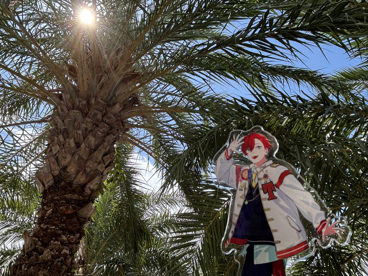 沖縄たのしかった🌺🌴