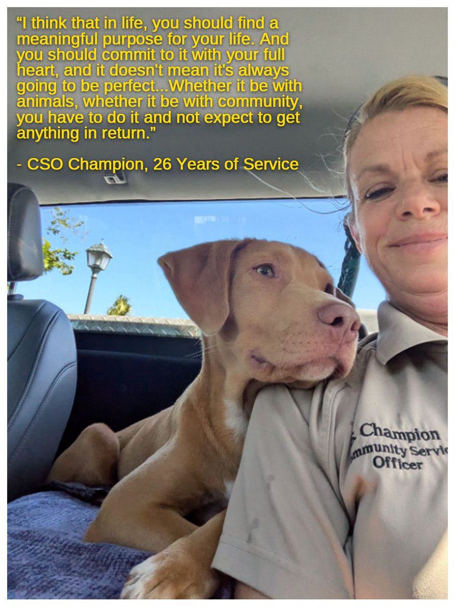 Ormond Beach Police tweet media