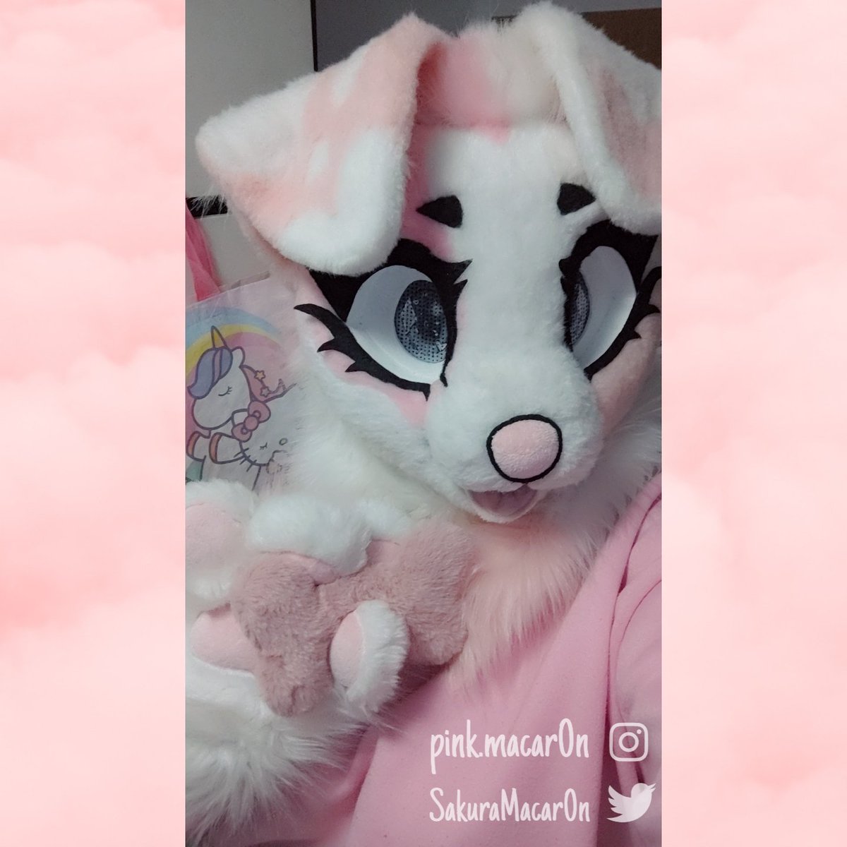 Sakura Macaron tweet media