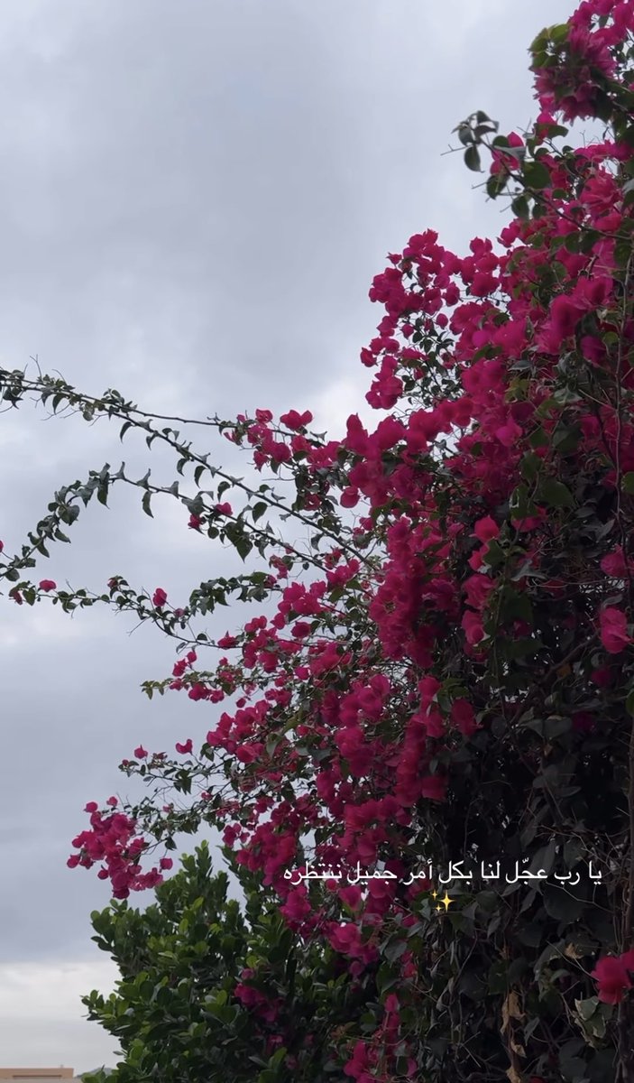 𝓕* ♡🍃 tweet media