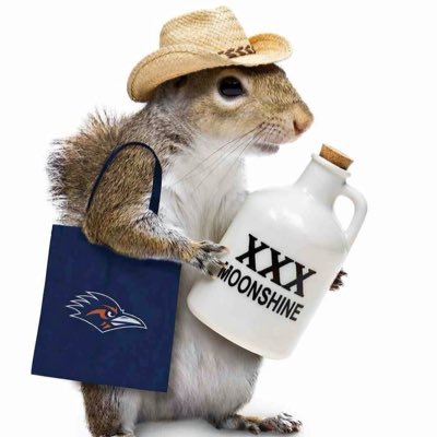 Squirrel tweet media