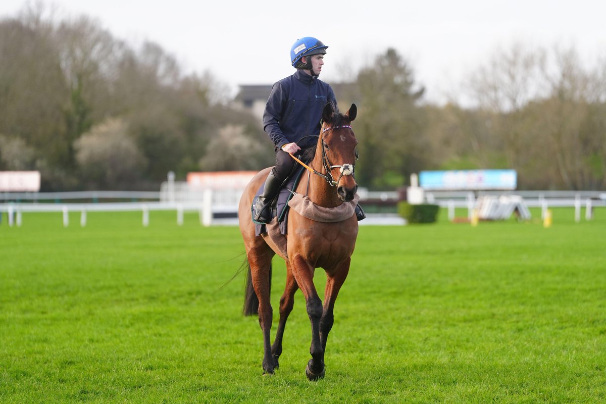 RIP Envoi Allen
Desperate news on his final ever run

An absolute great of the sport 💔