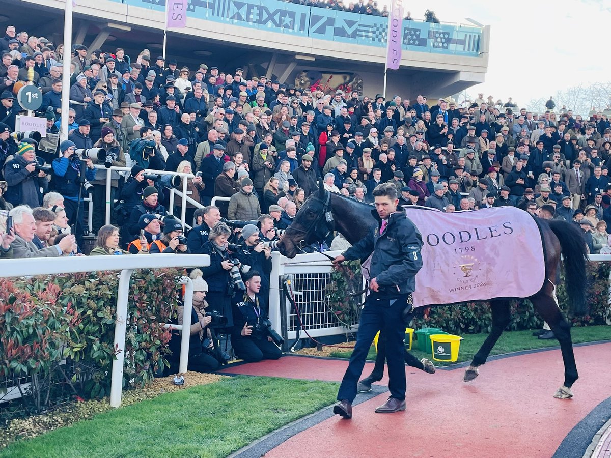 Melissa Jones tweet media