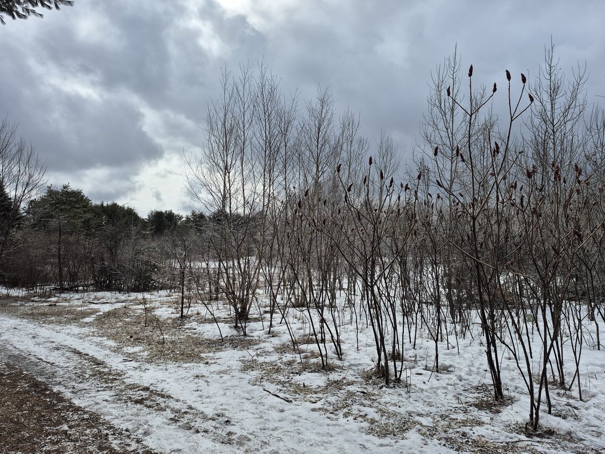 Karyn Curtis🇨🇦🐎 tweet media