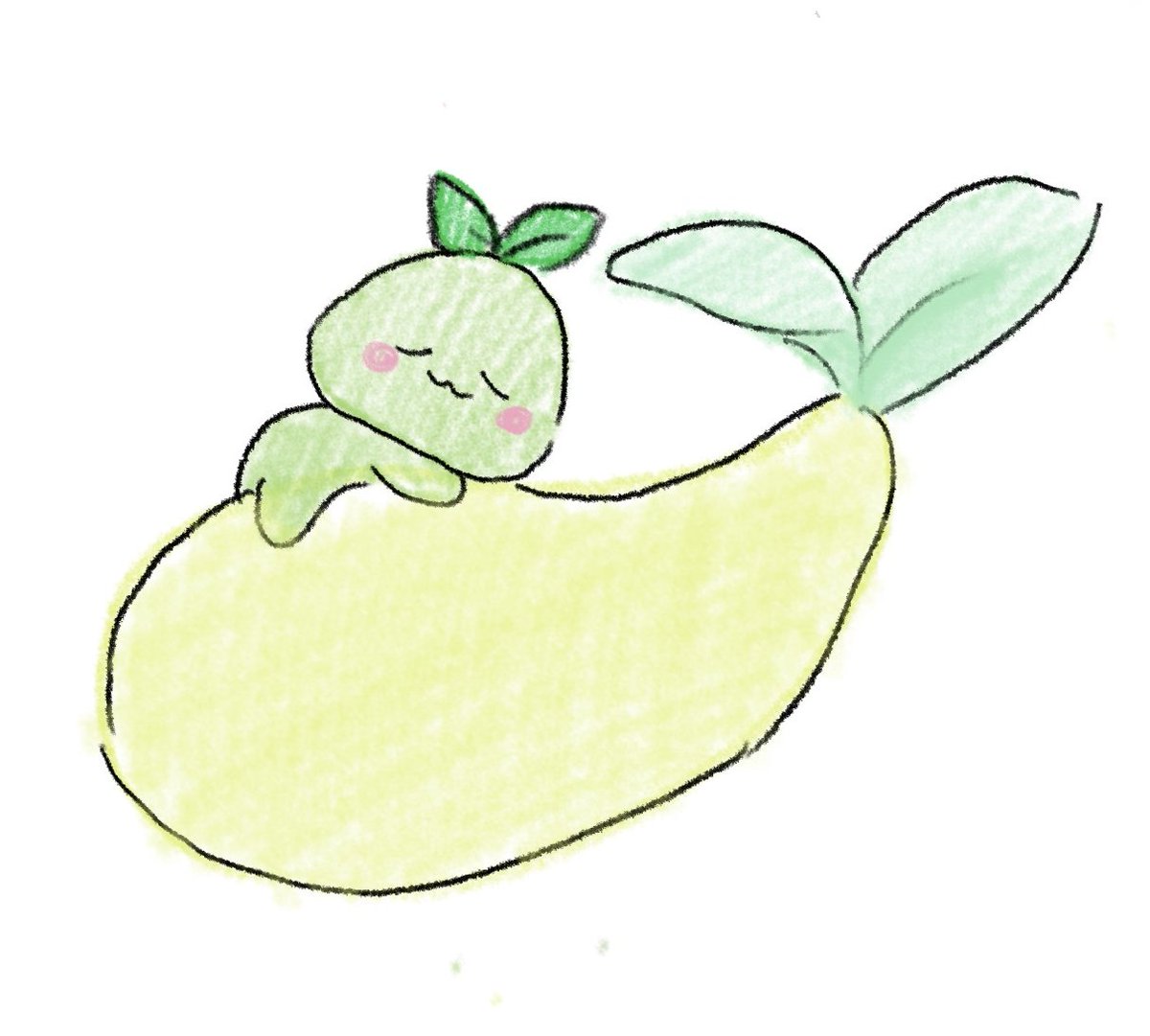 IDEON/족근 tweet media