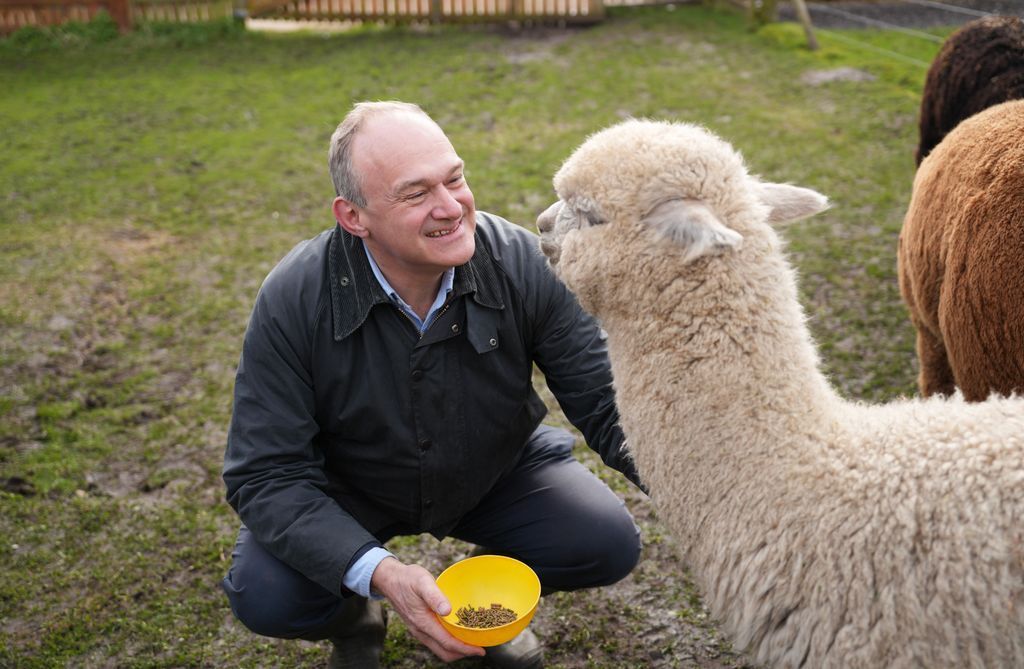 Ed Davey tweet media