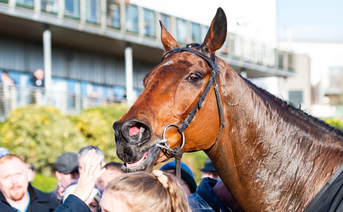 HorseRacing.net tweet media