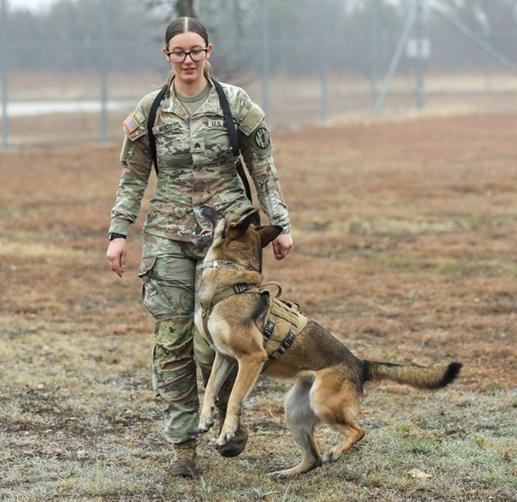 WA Veterans Affairs tweet media