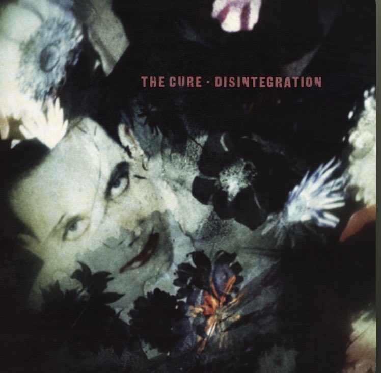 Mermtrain tweet media